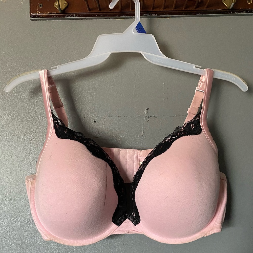 Pink | LANE BRYANT | cacique